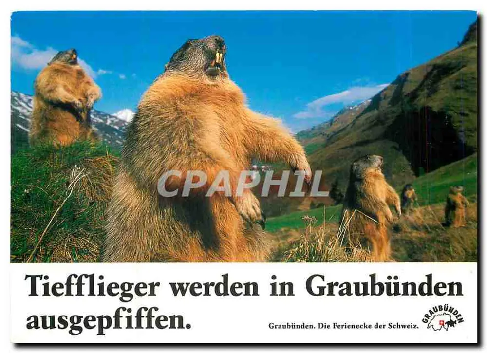 Ardillas y Graubünden — Graubünden. La Perienecke de Suiza — editor Graubünden - Anverso