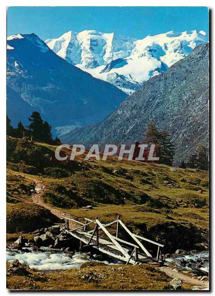 Ansicht von Alp Languard mit Piz Palü und Bellavista - Vorderseite
