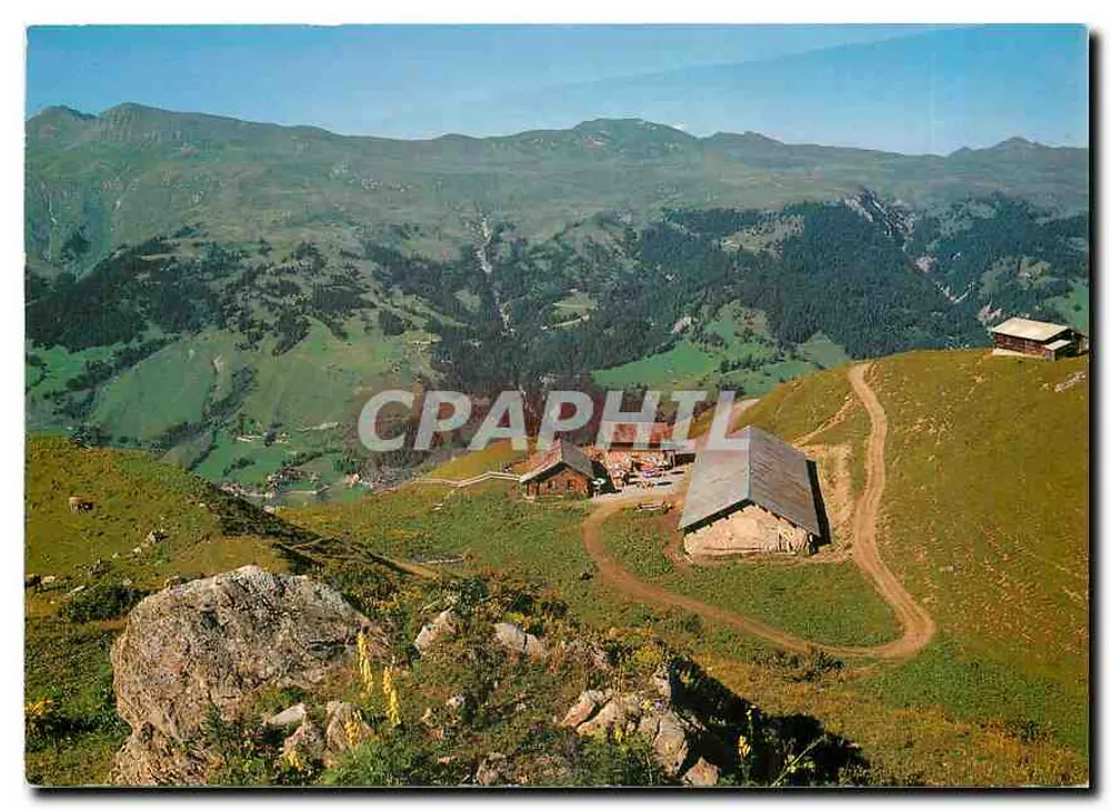 Ochsenalp — 1936 m — Ochsenalp, Arosa, Grisons, Suíça — editor FOTO HOMBERGER AROSA - Frente