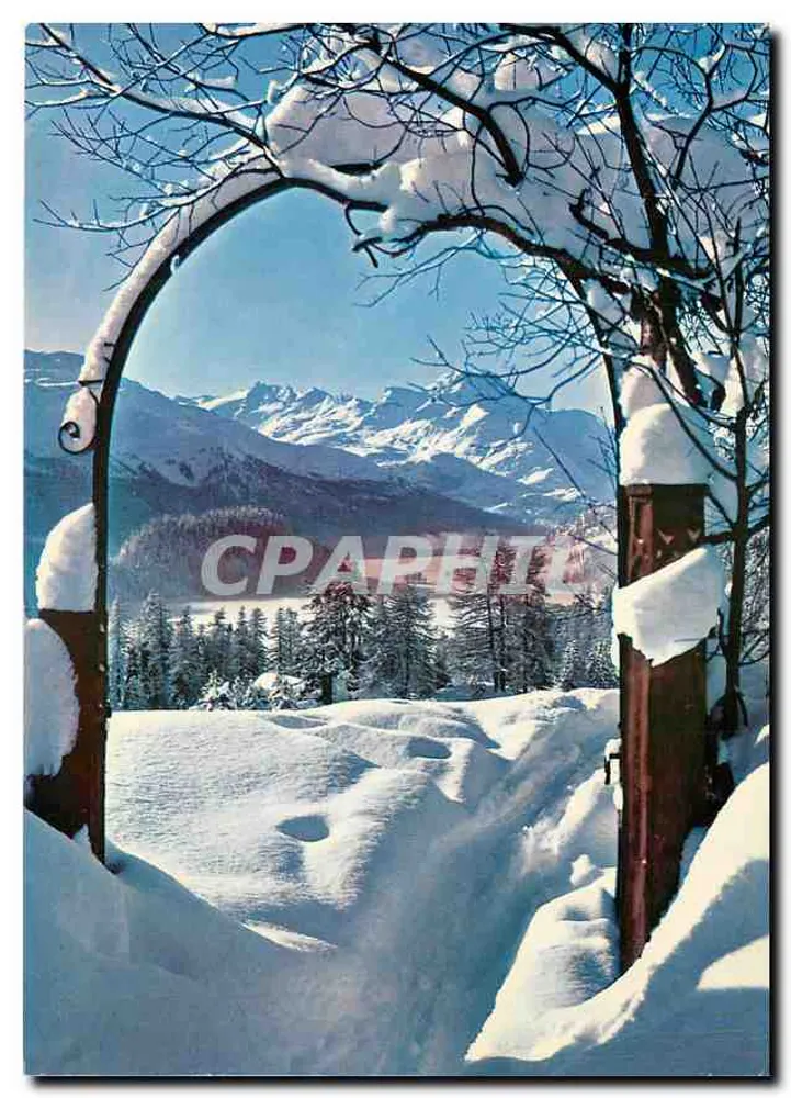 Vista das Alpes nevadas — vista através de um portão nevado — Foto und Verlag Hans Steiner St. Moritz, No. 82 - Frente
