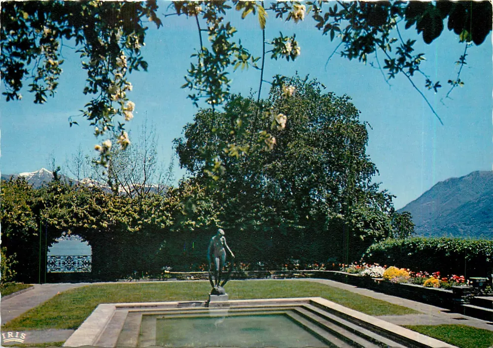 Isole di Brissago — Botanischer Park des Lago Maggiore — Éd. Foto Pancaldi, Ascona, N. 771 - Vorderseite
