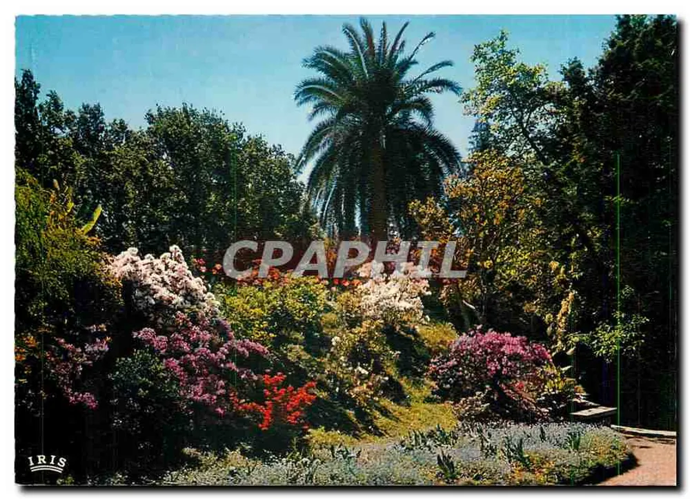 Jardin botanique d'Isola Brissago — Lago Maggiore — Éd. Foto Pancaldi, Ascona, n° 775 - Recto