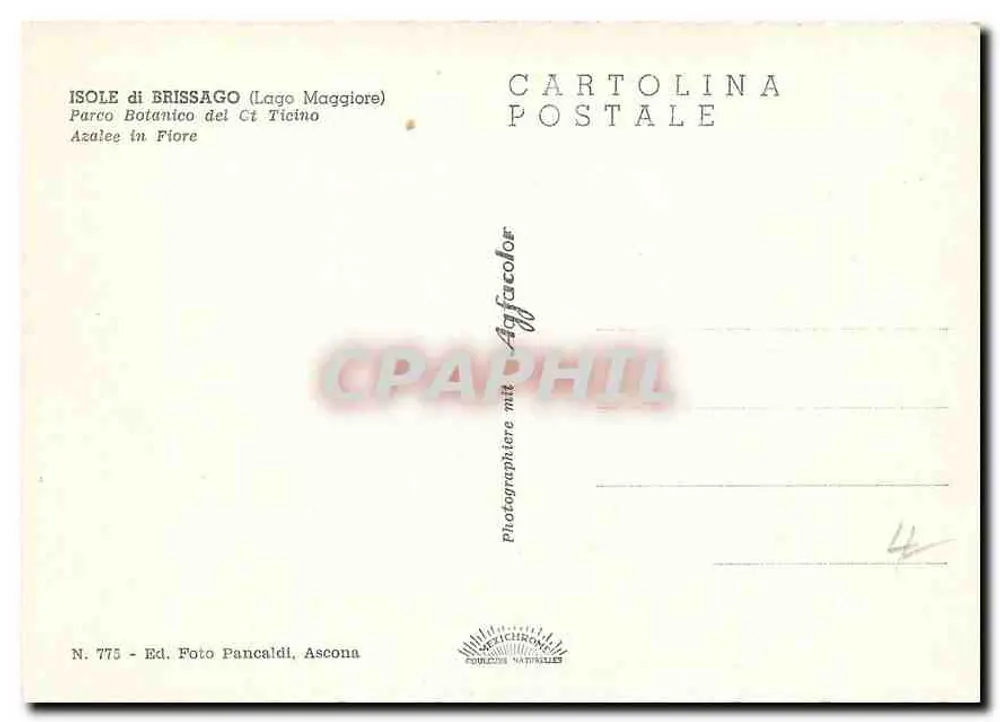 Jardin botanique d'Isola Brissago — Lago Maggiore — Éd. Foto Pancaldi, Ascona, n° 775 - Verso
