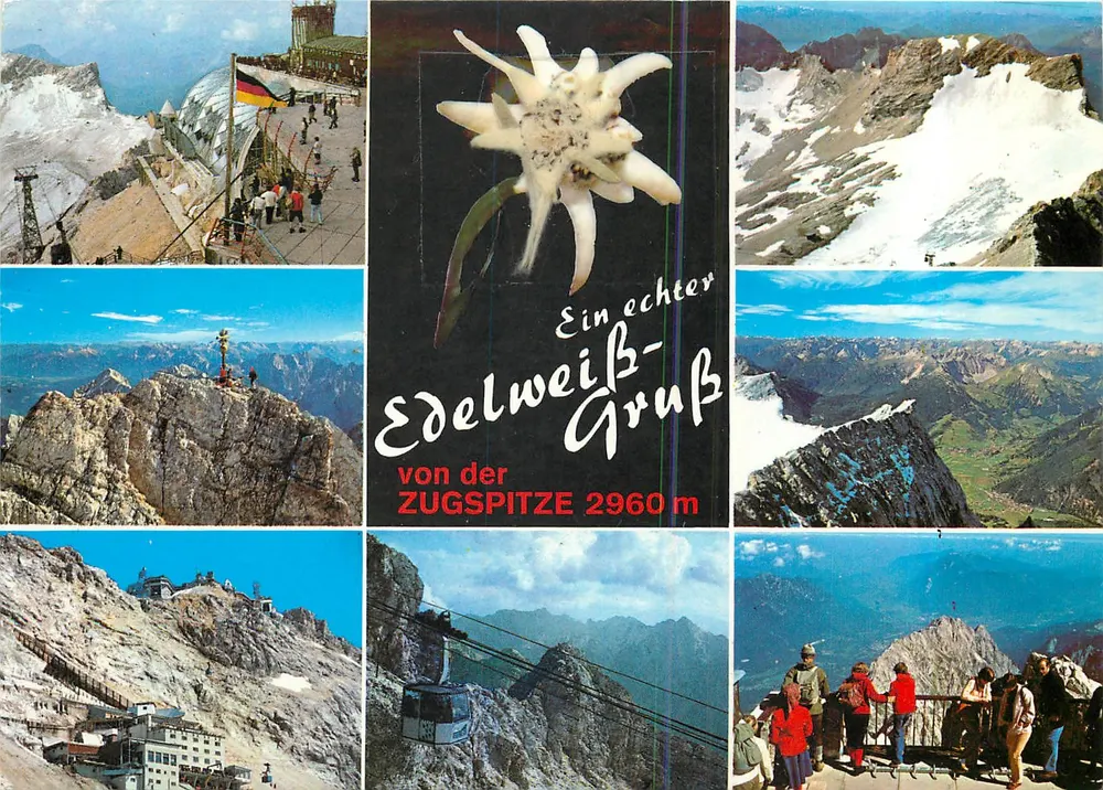 Zugspitze — Edelweiß-Gruss von der Zugspitze 2960 m — Verlag Sigmund Kitz - Frente