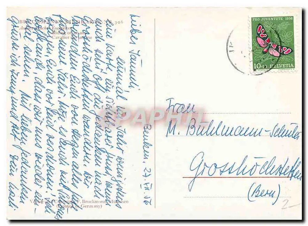 Cavaleiro em jumento — pintura aquarelada — editor F. Bruckmann, Munique - Verso