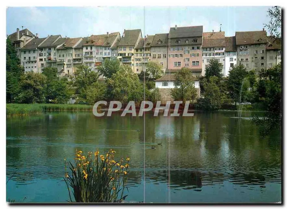 Vista do lago com casas no fundo e juncos amarelos em primeiro plano — Photoglob Zürich/Wevey — n° 12432 - Frente