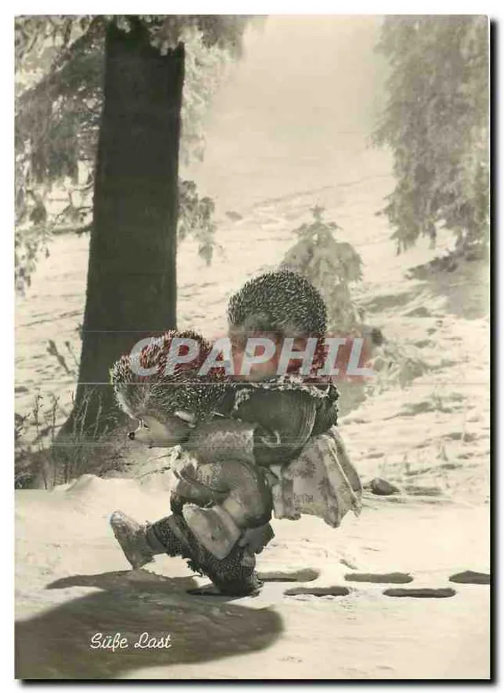 Criança na neve — Sülfe Last — P. Schaffützel, Kartenverlag, Türgi AG - Frente