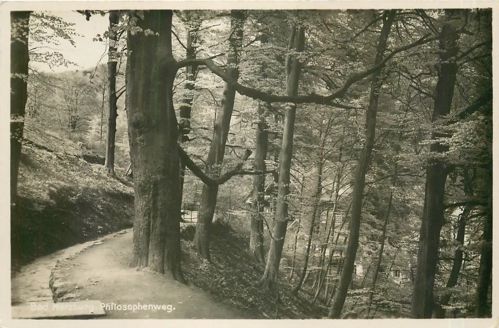 Bad Harzburg. Caminho dos Filósofos — vista florestal — Fotografia Echte Nachdylers, Berlin, Marne, n° 1528 - Frente