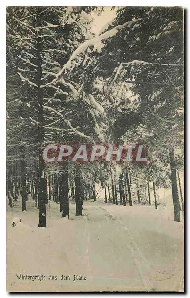 हर्ज से शीतकालीन शुभकामनाएं — बर्फीले जंगल का दृश्य — जर्नल & कंपनी, एच. थ. ब्रैंस्वेग, 38475 - आगे