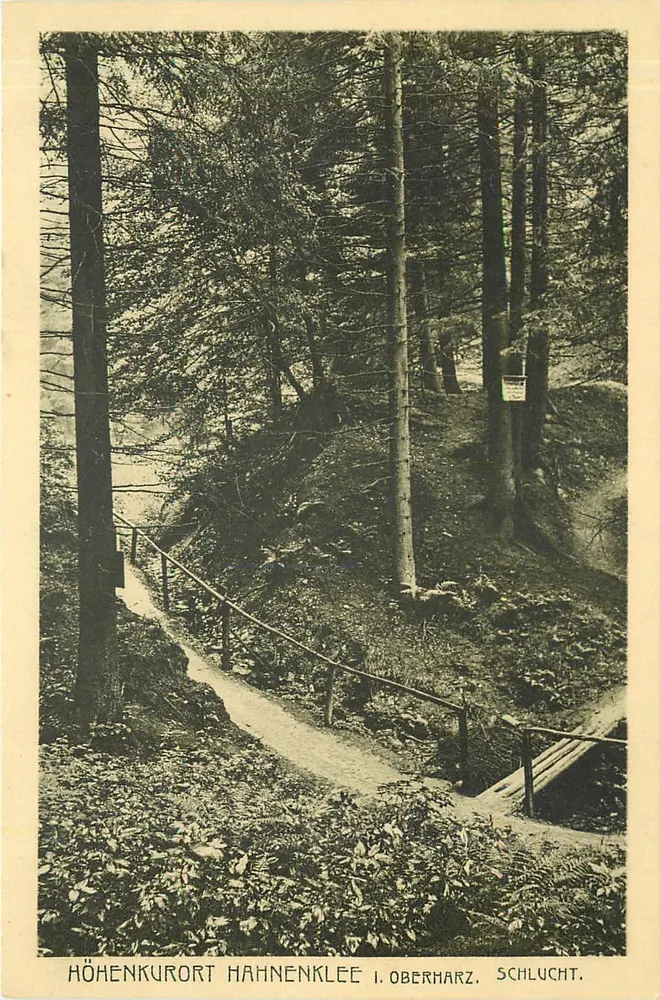 Höhenkurort Hahnenklee i. Oberharz, Schlucht — Verlag Louis Glaser, Leipzig, Nr. 10028 - Vorderseite
