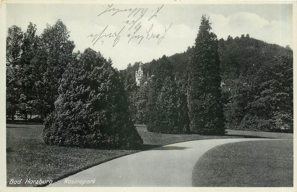 Bad Harzburg - Kasinopark — uitzicht op het park met pad en gebouw in de verte - Voorkant
