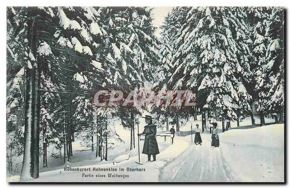 Kurort Hahnenklee im Oberharz — Teil eines Waldweges - Vorderseite