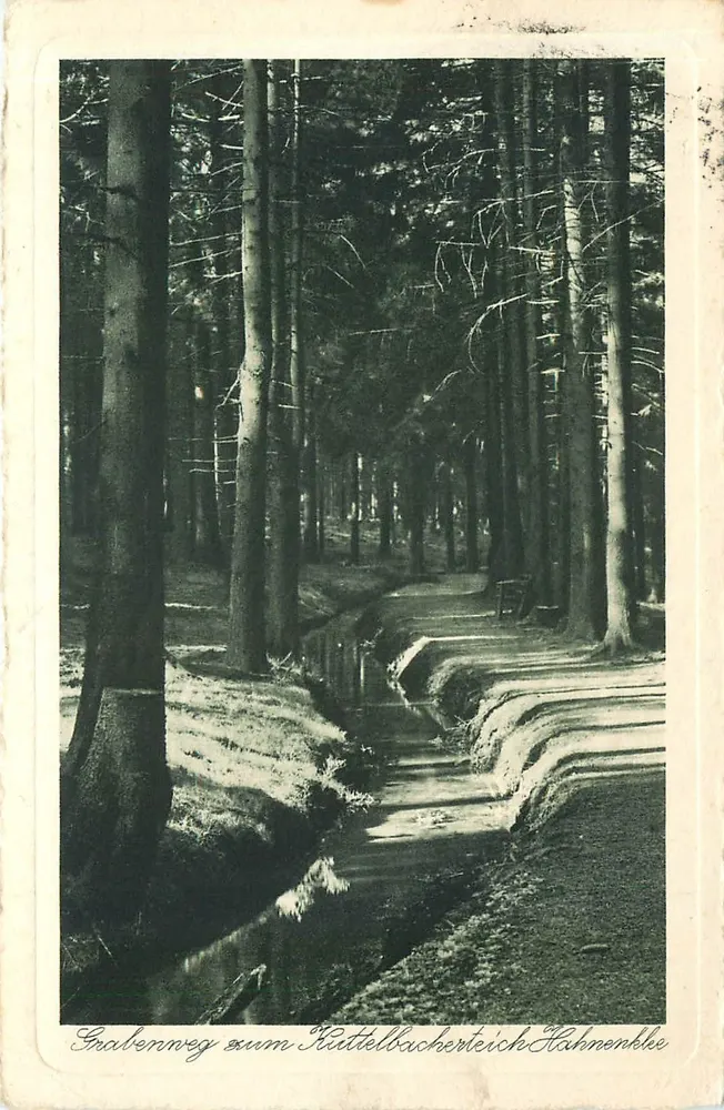 Grabenweg zum Kittellbacher Teich Hahnenklee — Hahnenklee, Allemagne - Recto