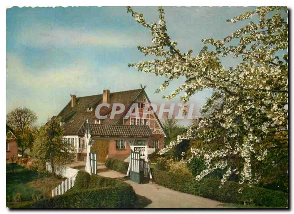 Mannheim — casa com jardim e cerejeira em flor — Hans Andres Verlag, n° 2350 - Frente