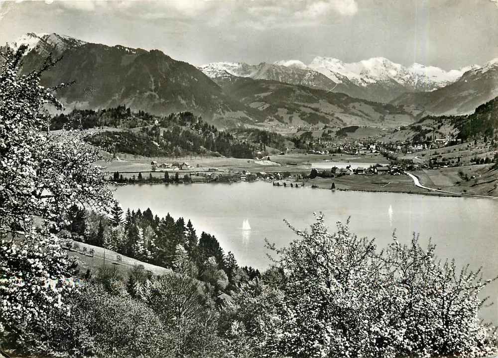 See Bühlm-Immenstadt — Panoramablick mit schneebedeckten Bergen — Verlag Pipp, Nr. 897 - Vorderseite