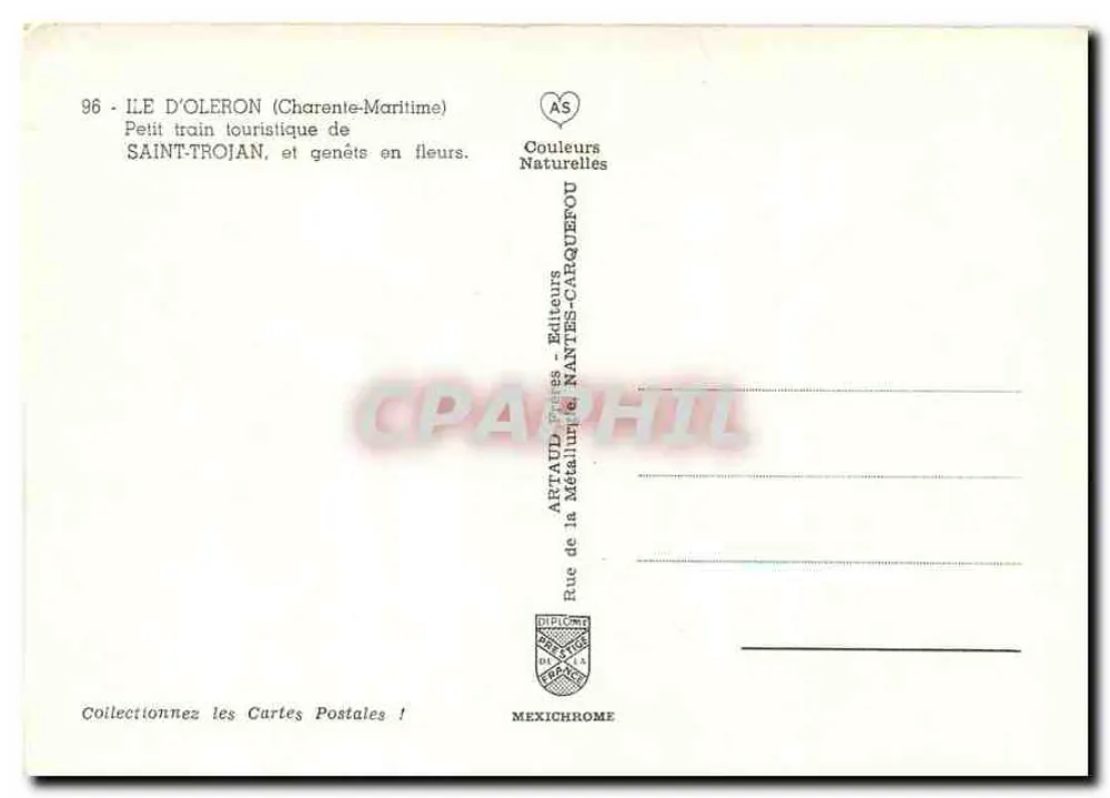 Saint-Trojan - Petit train touristique et genêts en fleurs — Artaud Presses, N°96 - Verso