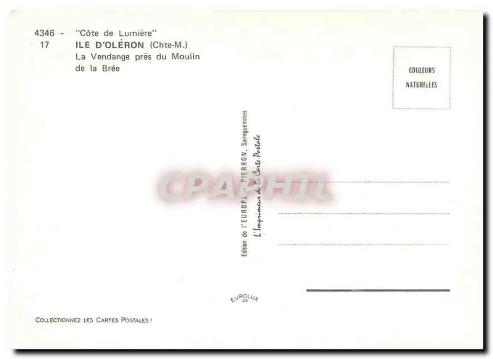 Côte de Lumièrè — La Vendange près du Moulin de la Brée — Édition de l'Europe, Pierron - Verso