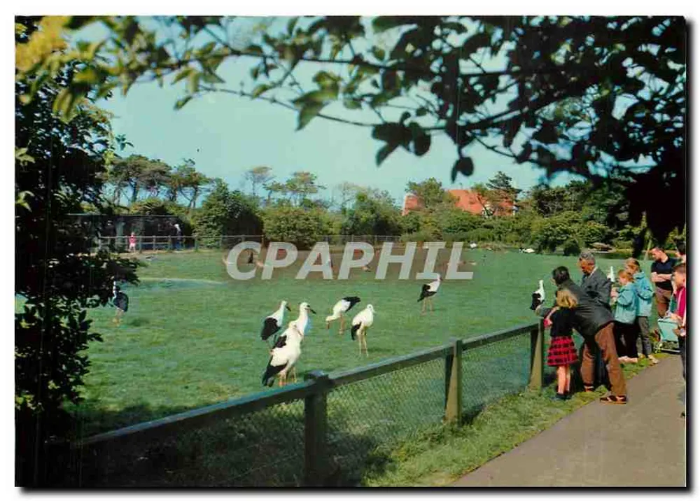 Knokke-Zoute — Das Vogelschutzgebiet des Zwin — Photo-Hall Bruxelles - Vorderseite