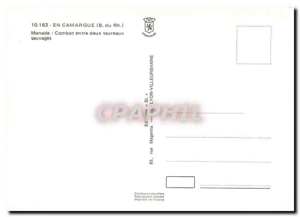 Camargue — Kampf zwischen zwei Wildbulben — Éditions Magenta - Rückseite