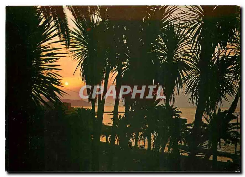 San Remo — Jardins ao amanhecer — Rivier Vision, Verona - Frente