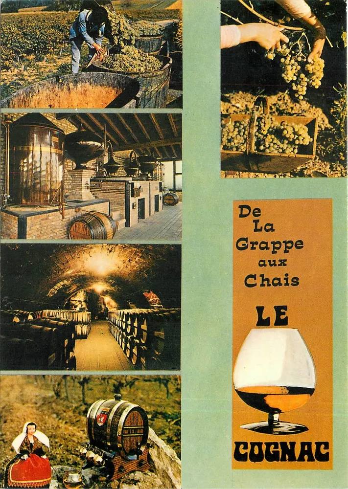 De La Grappe aos Chais — O COGNAC — Éditions Théolac - Frente