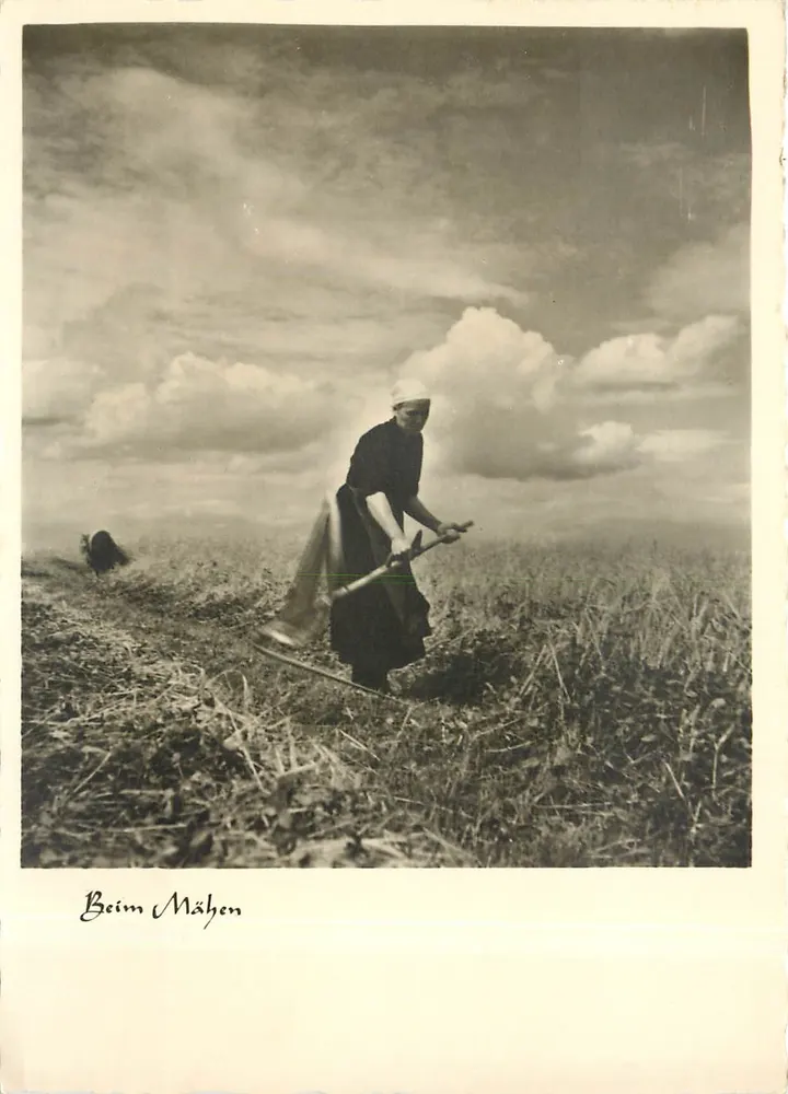 Mulher trabalhando em um campo — Beim Mähen — Mets Fotokarten, Tönninger - Frente
