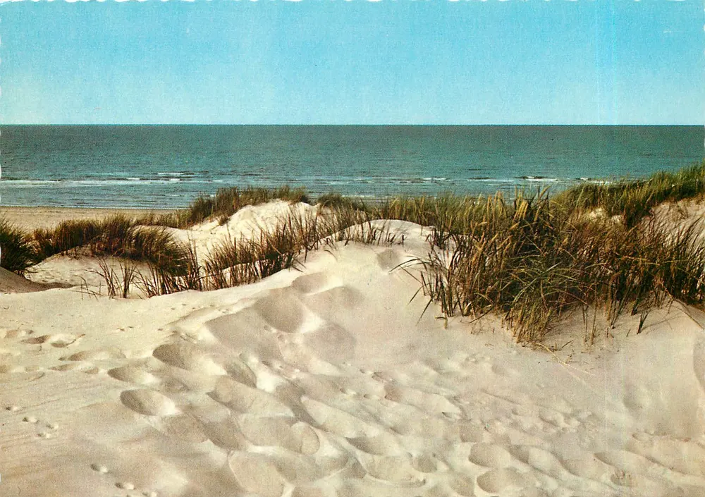 Praia de dunas — Bélgica — Cromo n°916/409 - Frente