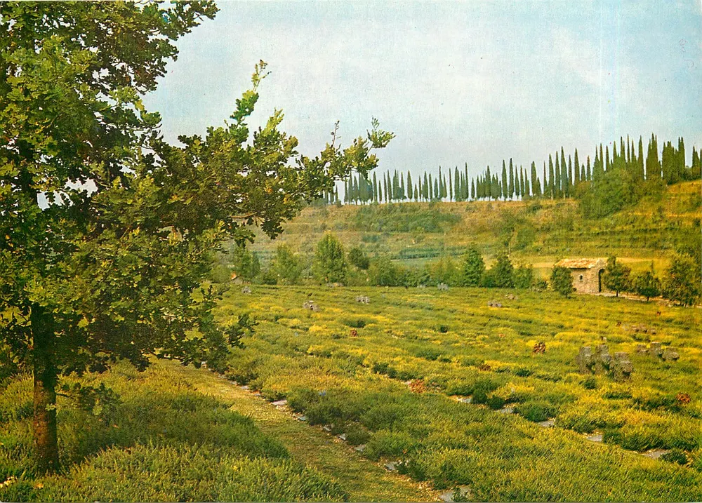 Cimitero militare tedesco à Costermano — Italie — éditeur Deutsche Kriegsgräberfürsorge e.V. - Recto