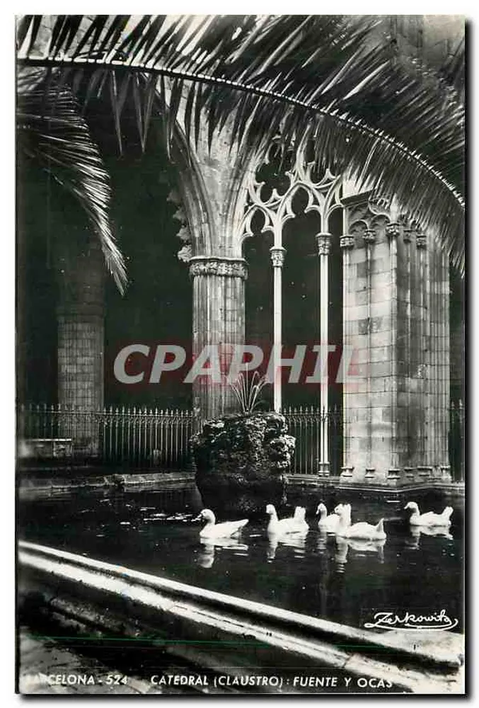 Barcelona - Catedral (Cloître) : Fontaine e Oies - Frente
