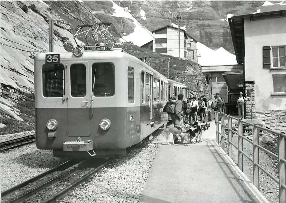 Train pour Petite Scheidegg — meute de chiens polaires — photo J.-L. Rochaix, n°188.9 JB - Recto