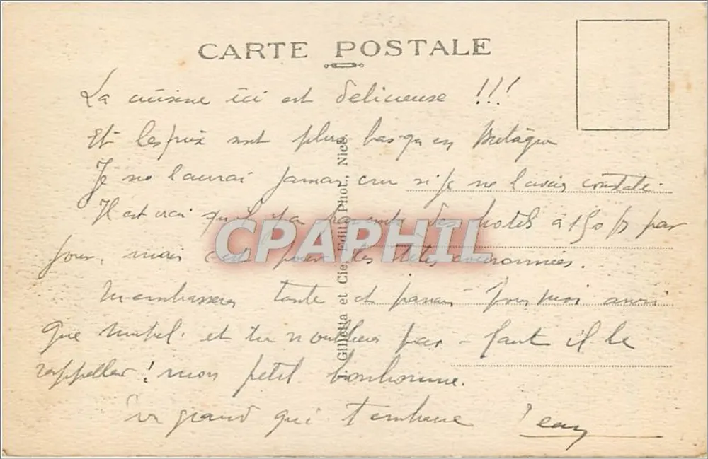 Jardins dos Palmier Albert Ier — Nice — n°45 - Verso
