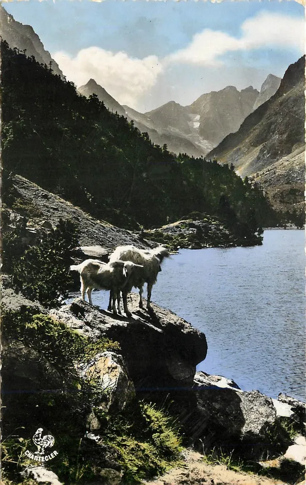 Cauterets — Lac de Gaube et le Vignemale — Éditions Chantecler - Recto