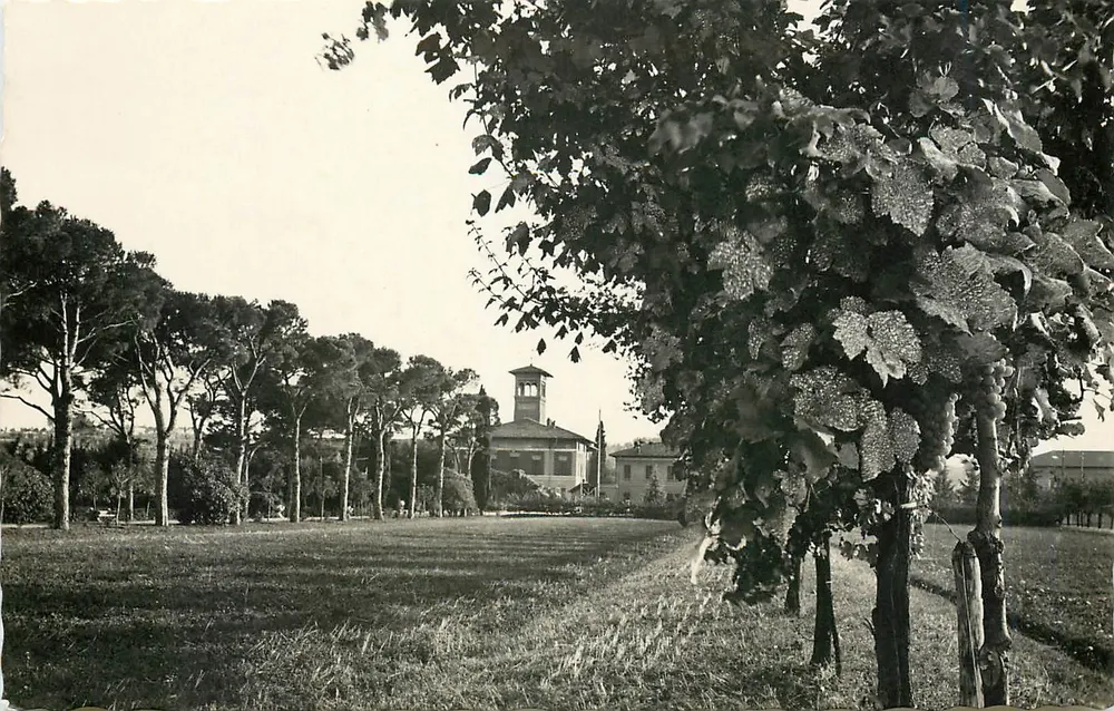 Imola - Landbouwschool — Edities A. XXI, Milaan - Voorkant