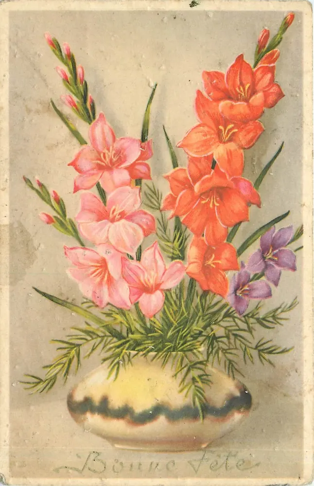 Bouquet de glaïeuls — dans un vase décoré — éditeur non visible - Voorkant