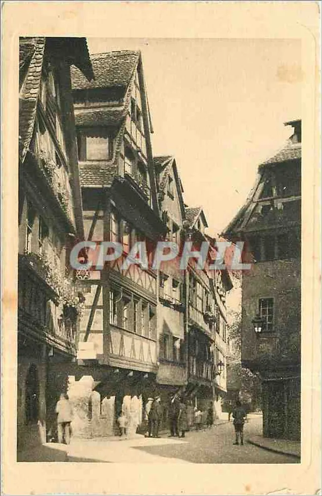 Estrasburgo - Banho das Plantas — Editor Félix Lab, Estrasburgo, n°10 - Frente