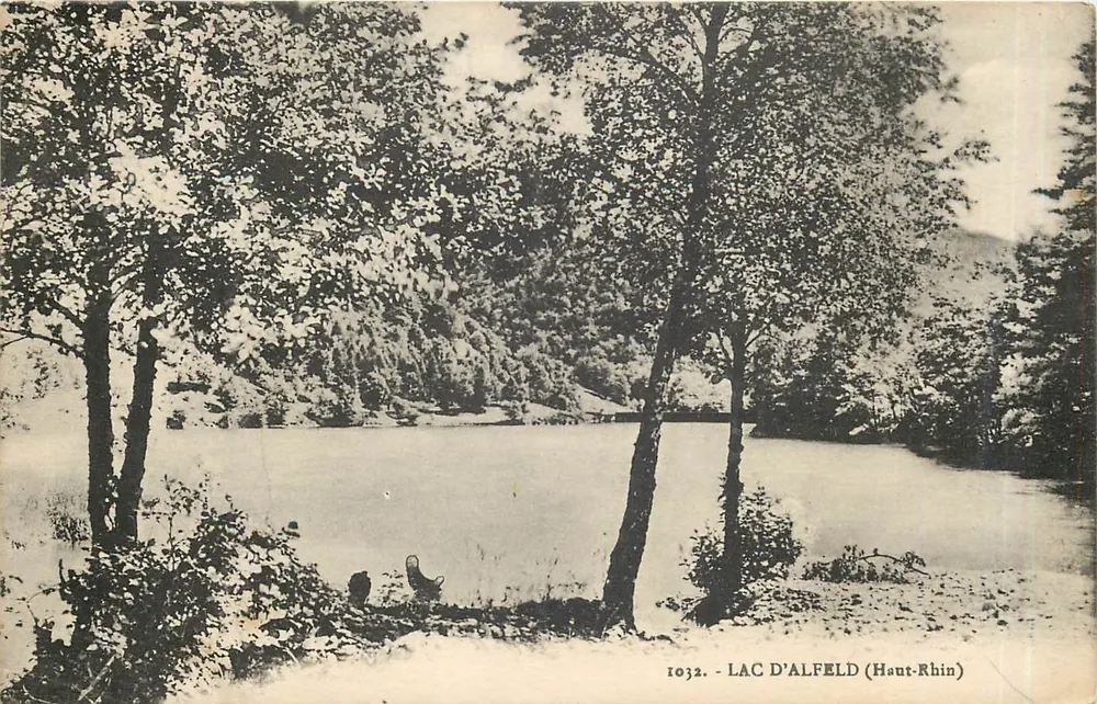 Lago de Alfeld — vista lacustre cercada por árvores — Cartas 'La Cigogne', 17, rue de la Corrèe, Strasbourg - Frente