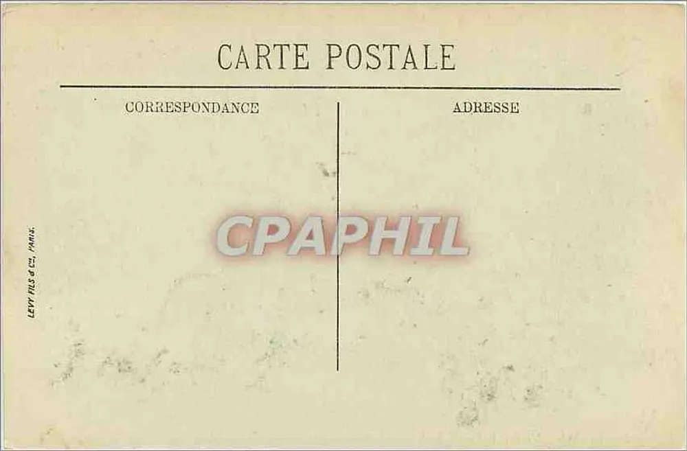 Le Touquet-Paris-Plage — Letzte Kiefern der Dünen — LL. n°31 - Rückseite
