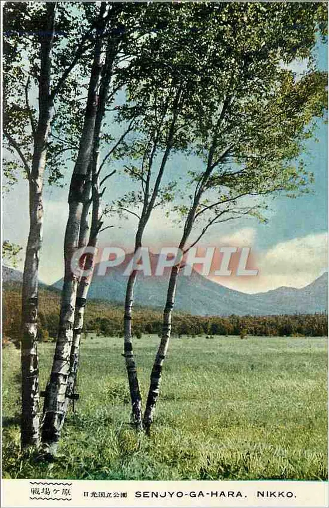 Senjyo-Ga-Hara, Nikko — paisagem de carvalhos e montanhas — editor não identificado - Frente