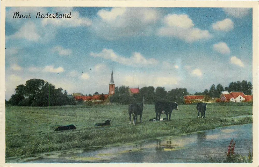 Paisagem rural holandesa — vacas e igreja — texto impresso 'Mooi Nederland' - Frente