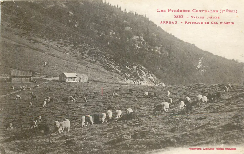 Les Pyrénées Centrales (4° Série) - Vallée d'Aure - Paturage du Col d'Aspin - Recto