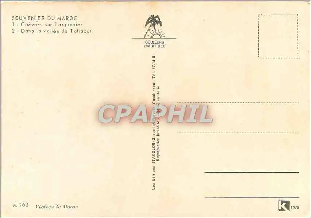 Goats on the arguanier — In the valley of Tafraout — Editions TACOLOR - Back