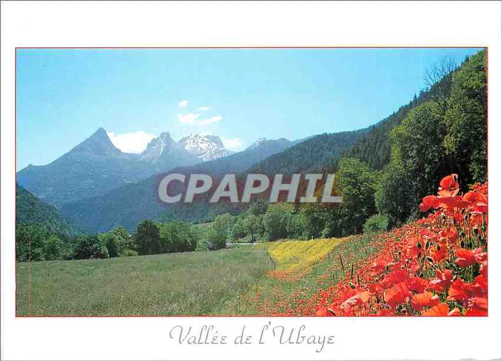 Vale da Ubaye — vista de montanhas e campos de papoulas — Éditions Images du Rhône - Frente