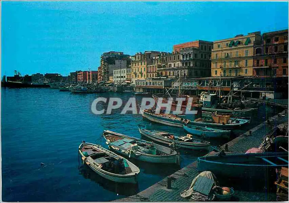 Anzio - Porto — vista do porto com barcos — Livoni, Terni - Frente