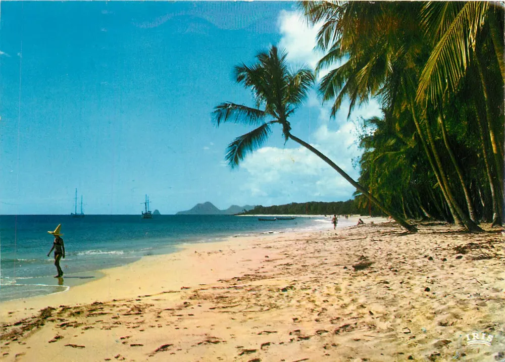 Praia das Salinas — Martinique — editor IRIS - Frente