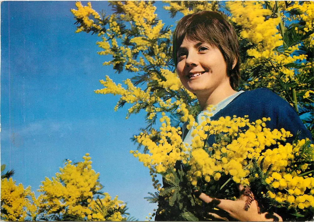 Jeune fille aux mimosa — Côte d'Azur — Imprimée Cannes - Recto