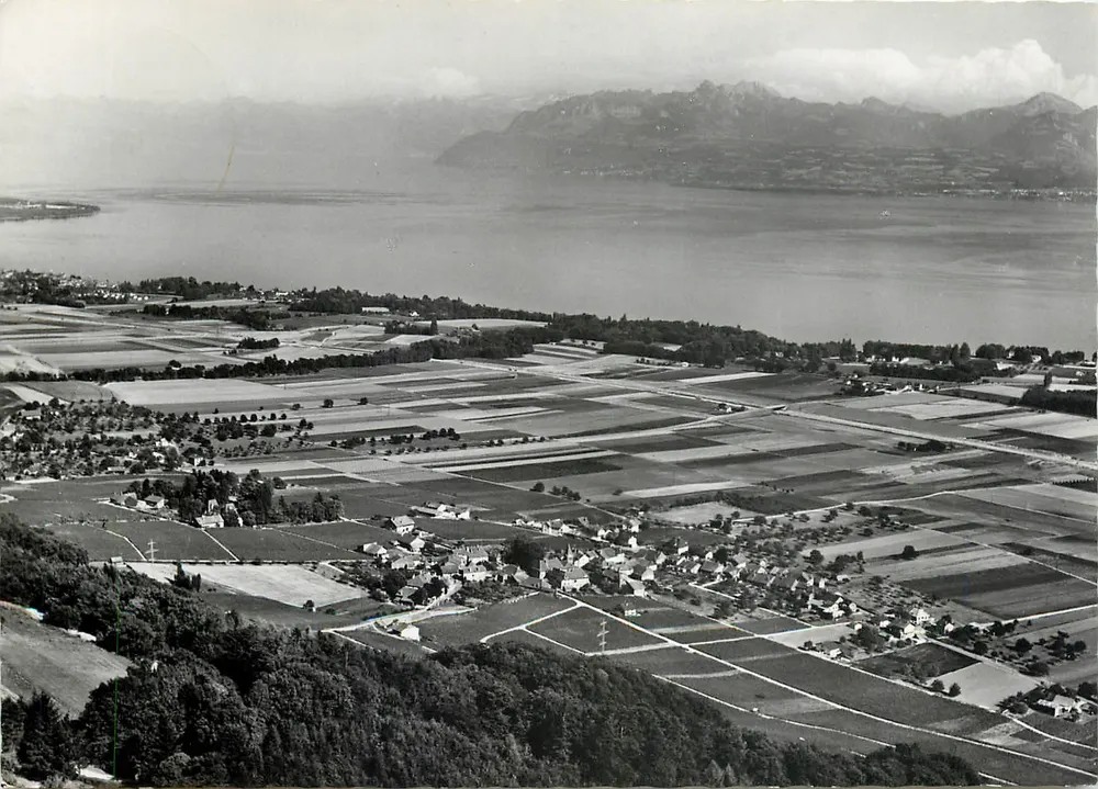 Bursins — Luftbild des Lacs Léman und der Alpen — Photo-Édition A. Deriaz, Baulmes - Vorderseite