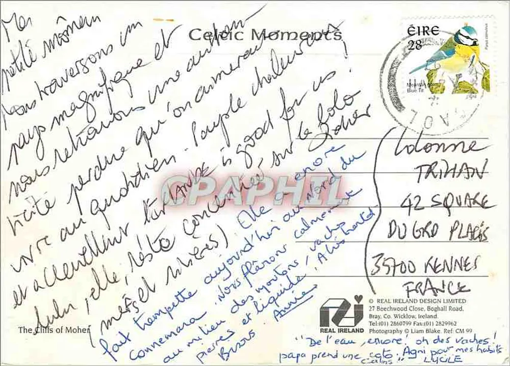 मोहर के खड़े चट्टानें — आयरलैंड — REAL IRELAND DESIGN LIMITED - पीछे