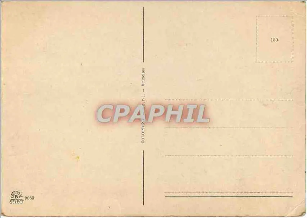 Flores de margaridas em um vaso — CULOPHIN N.V.R.L. — Bruxelas - Verso