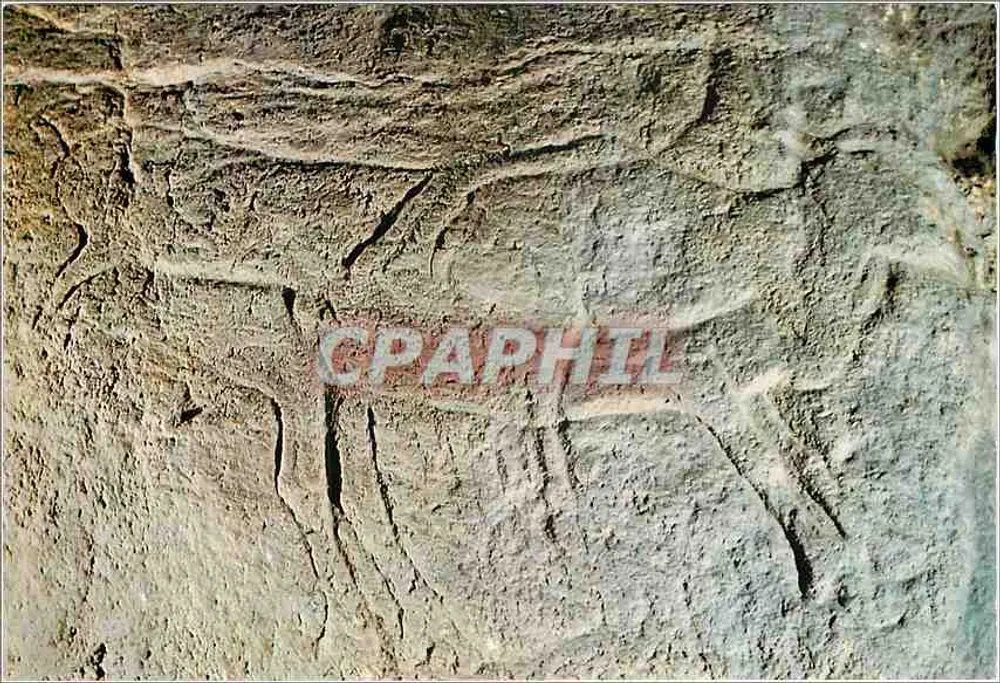 Grutas de Isturitz e Oxocelhaya — País Basco — Edição da Europa, Rennes - Frente
