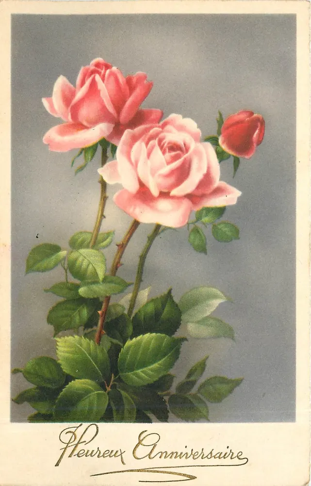 Roses — Aniversário — Editor H. C. Nr. 841 - Frente